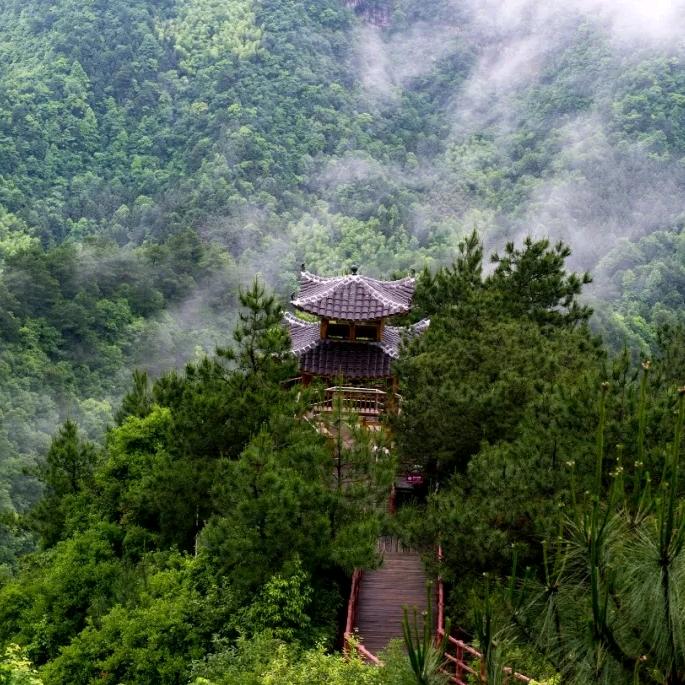怀化黄岩小胖