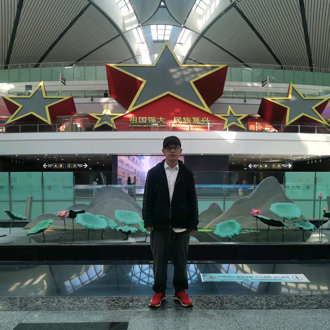 奇丽