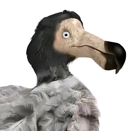 做白日梦了的红色原鸡