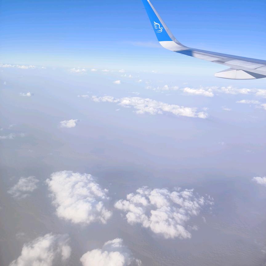 今生难还爱情债，