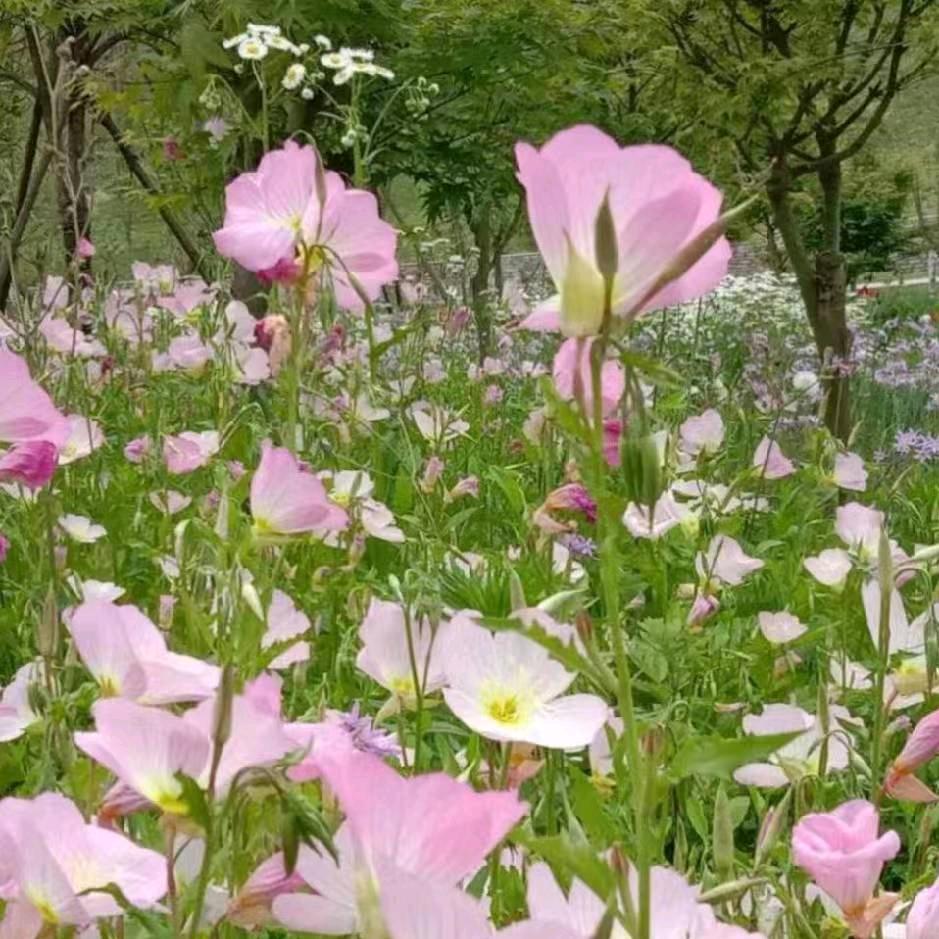 《永恒》