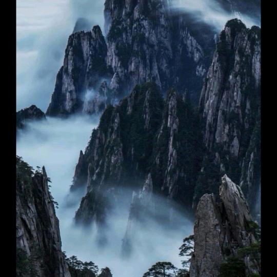 @龙