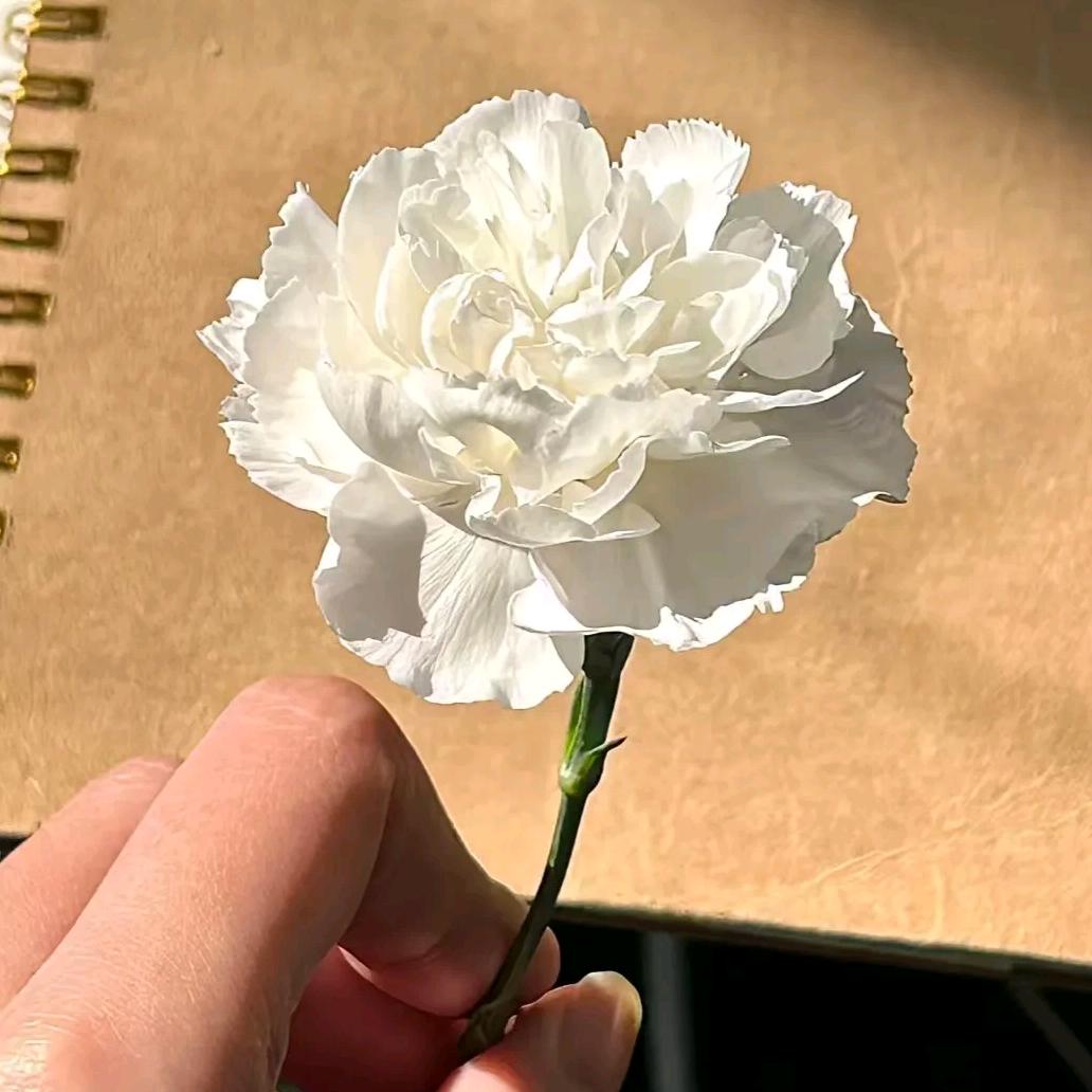 高飞非遗献饭制作