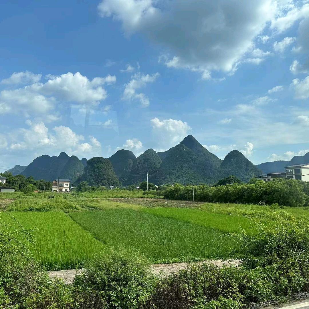 回顾