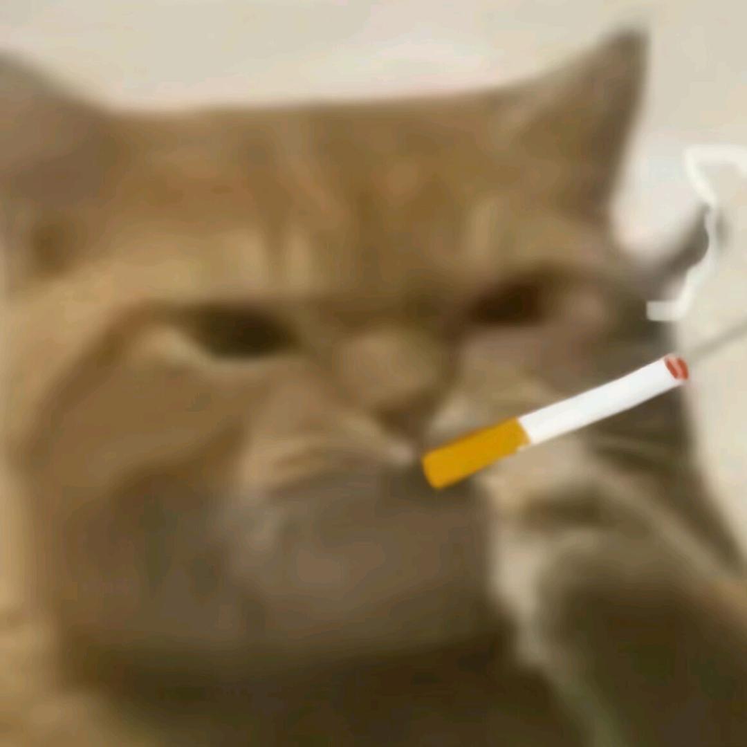 再也不剪短发了