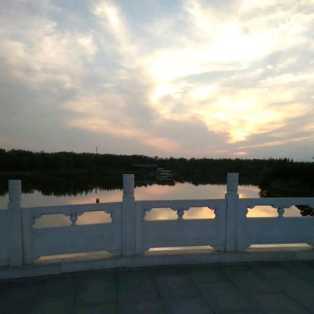何求