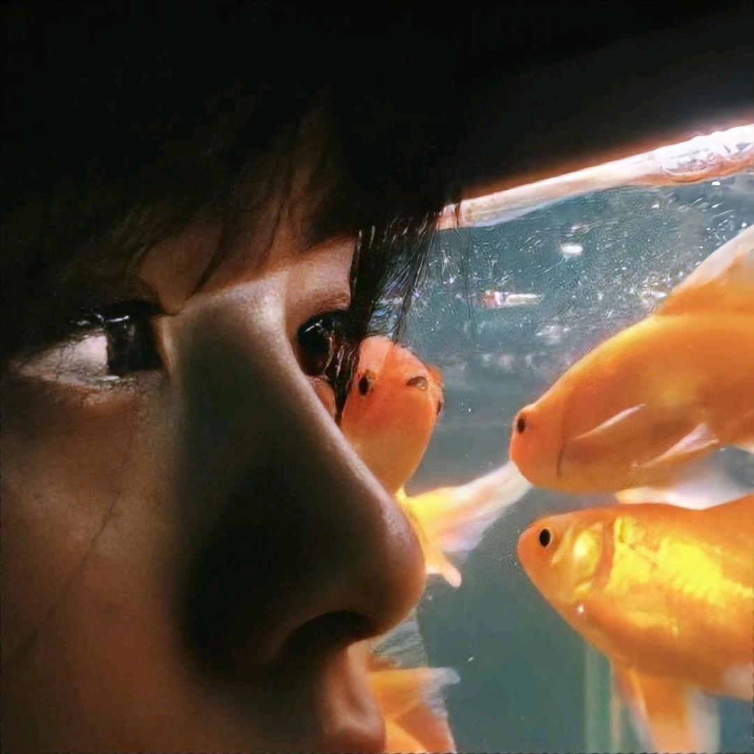 八方来财瘦的超帅