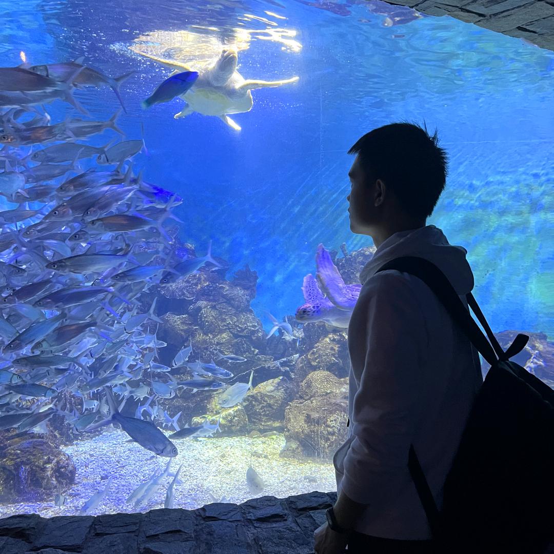 后期制作木子李