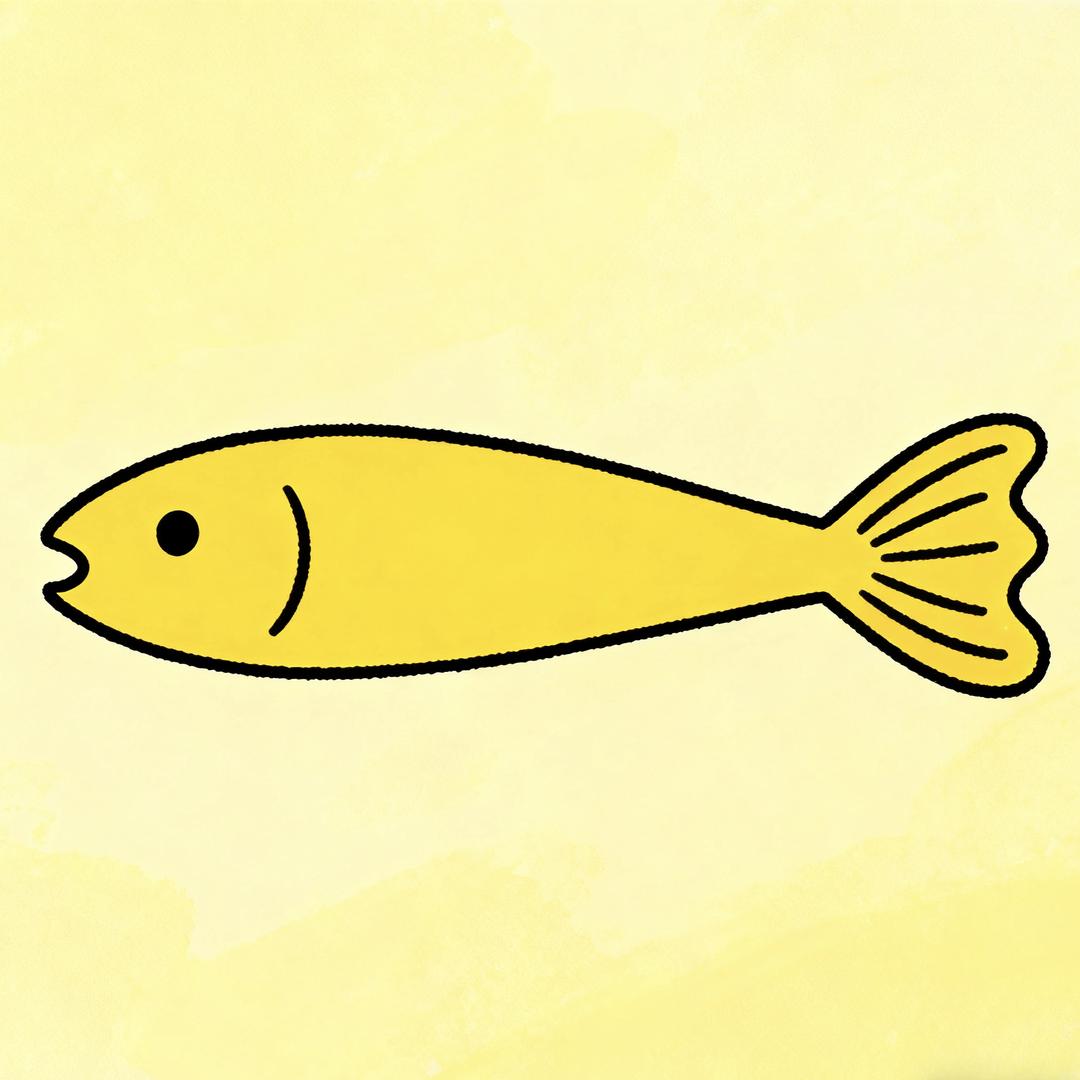 大鱼不吃鱼🐠