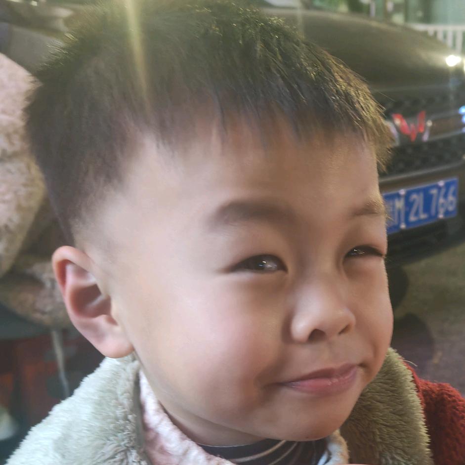 脆脆鲨🦈