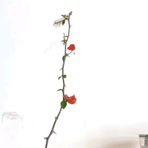 三丰量具回收刘小姐