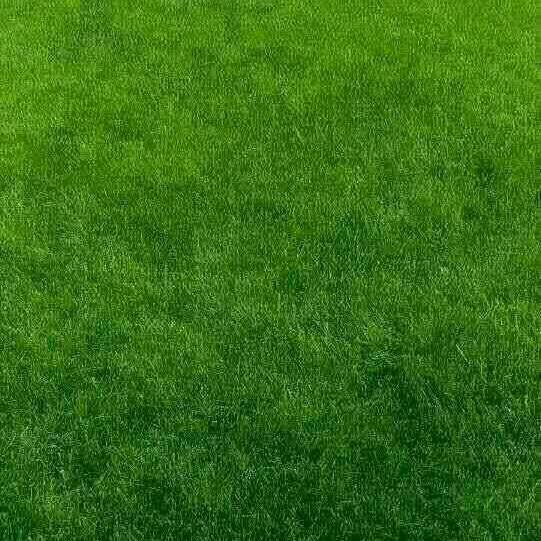 爱家