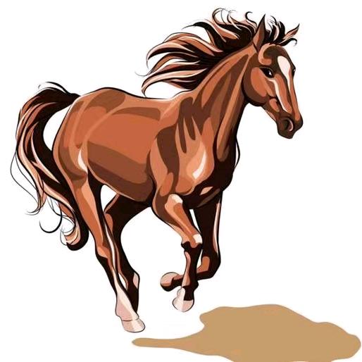 清心居士说🐴马