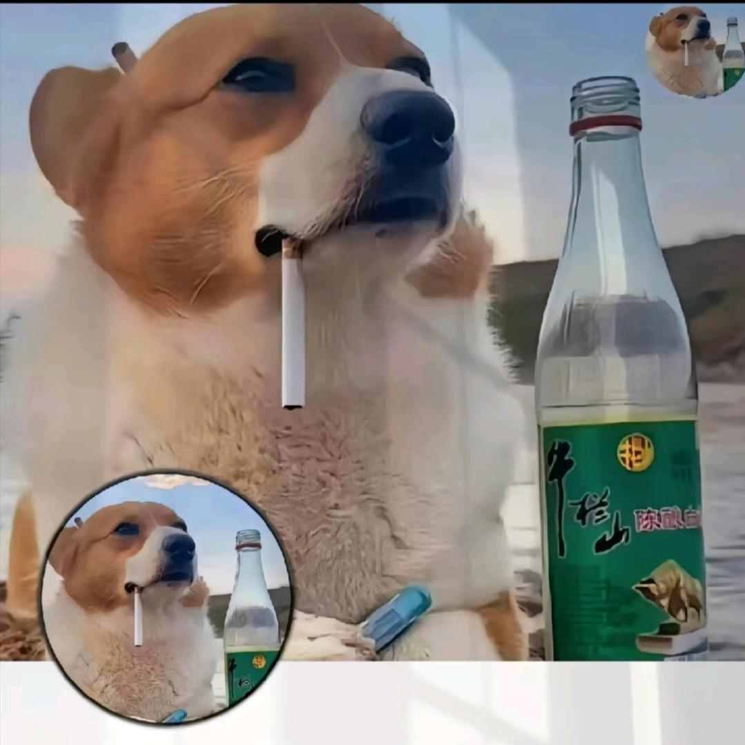 🧧⃟LᎭₑ㐓ഒ㤅࿐