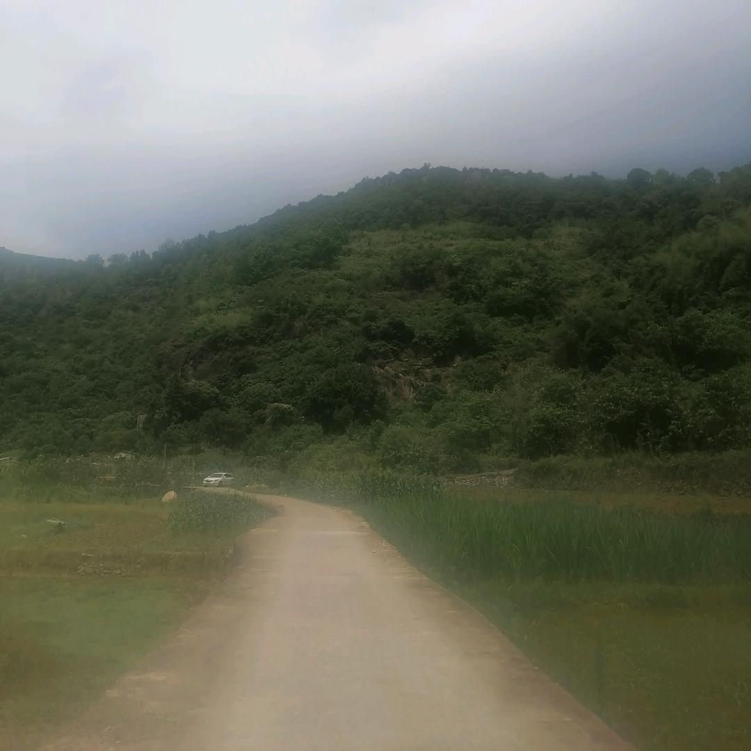 那家伙又睡马路上了