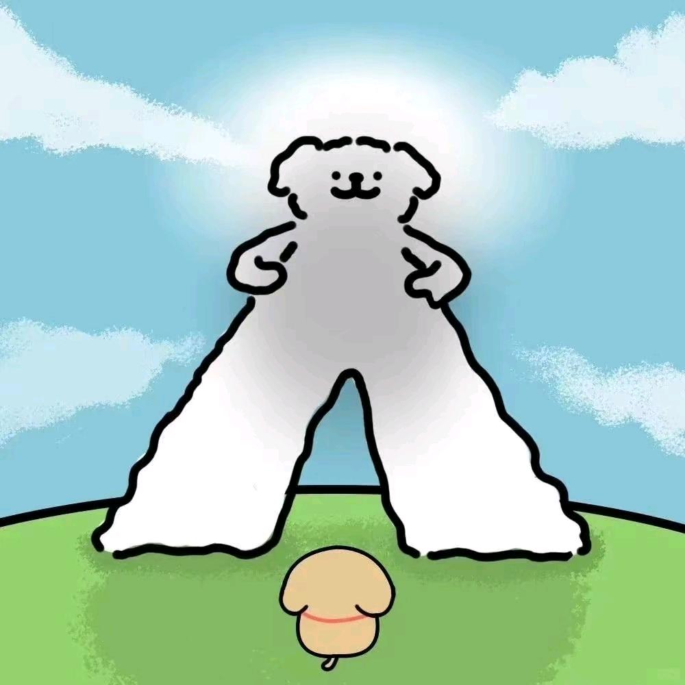 飘散雨