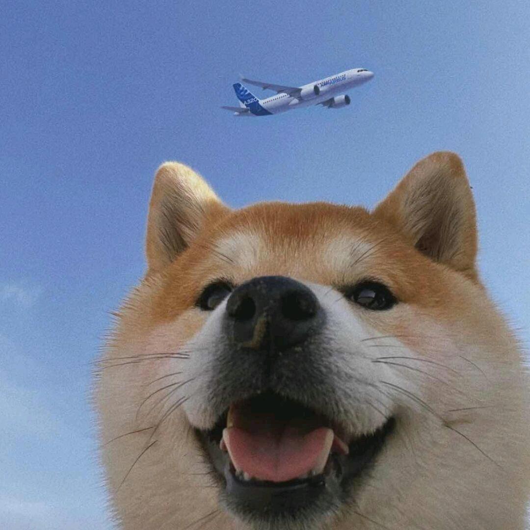 蟹蟹离