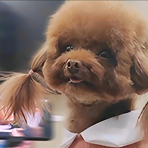 不回顾