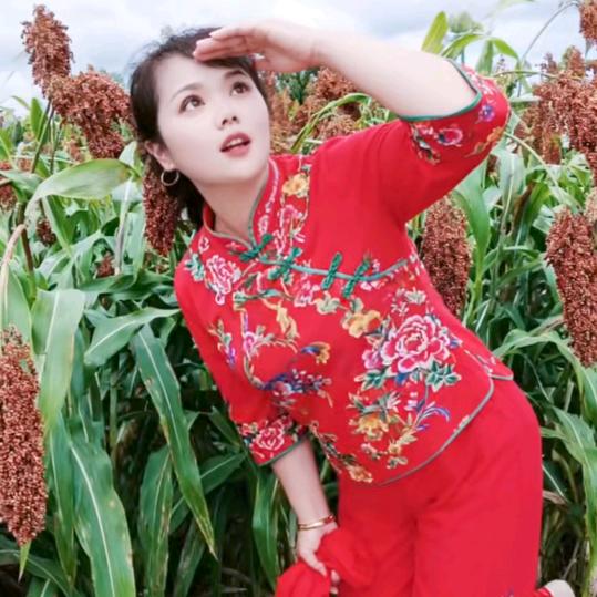 梅子三，请不要点连赞