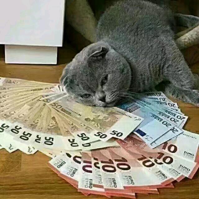 哦哟、