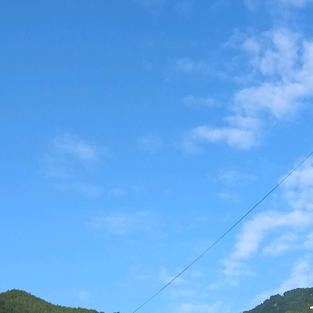周洁儿