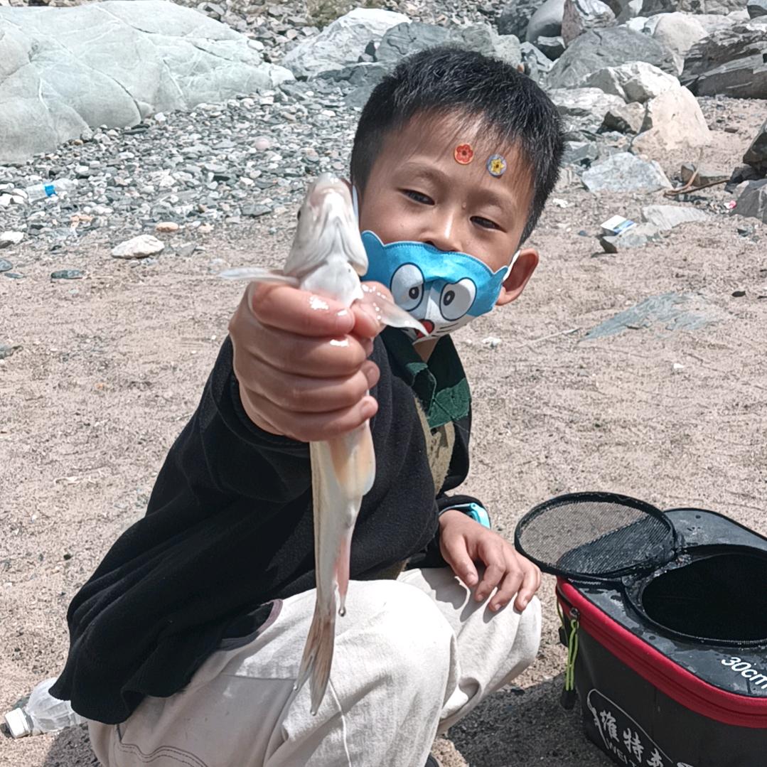 鱼儿，应季水果🍓