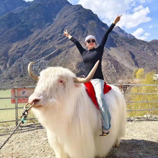 艾美丝护肤批发