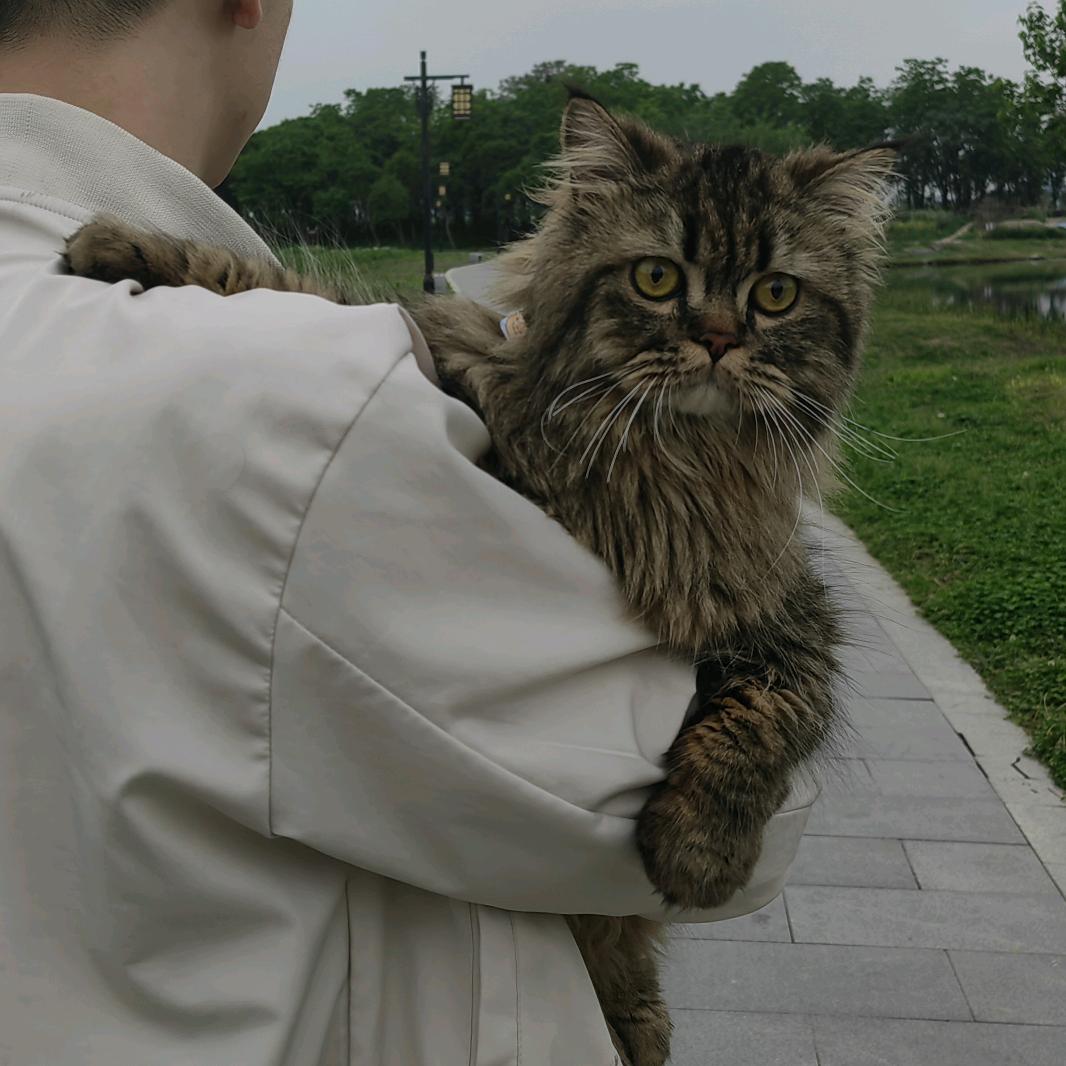 一木同学是个刁民