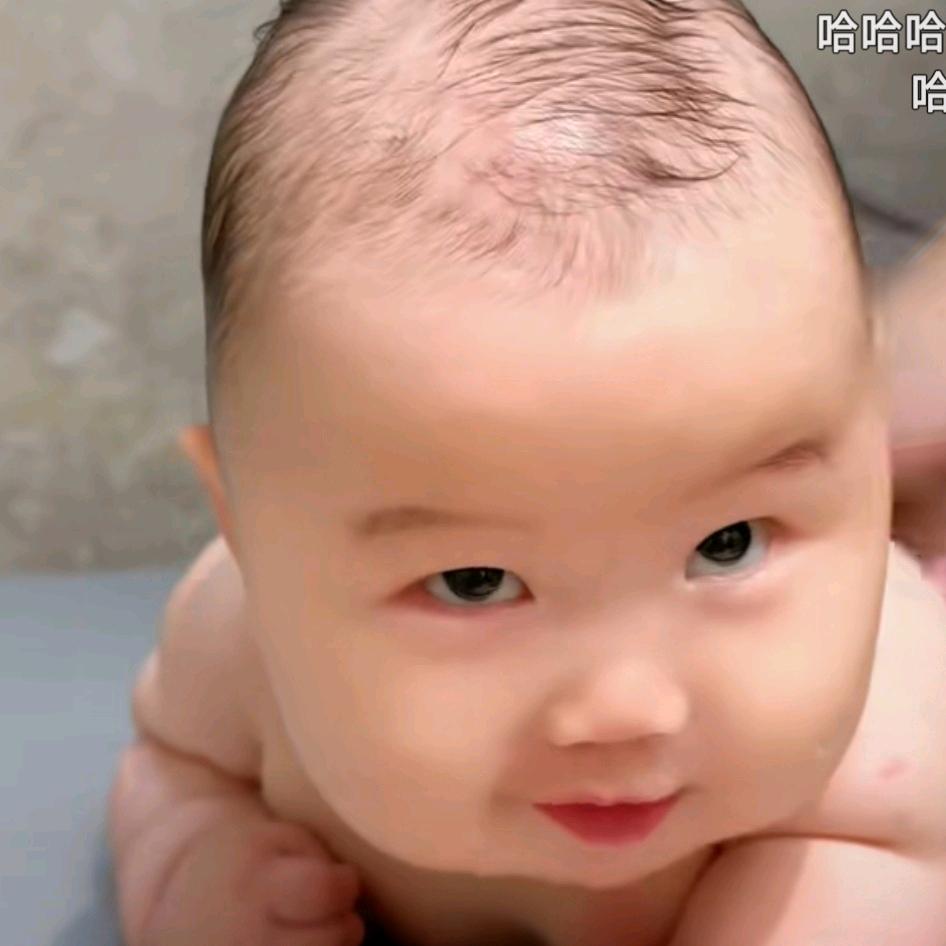 大德大威宝宝天龙