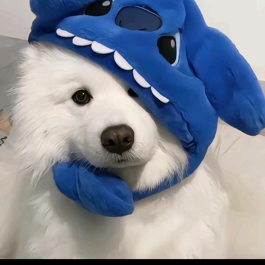 平杰伦