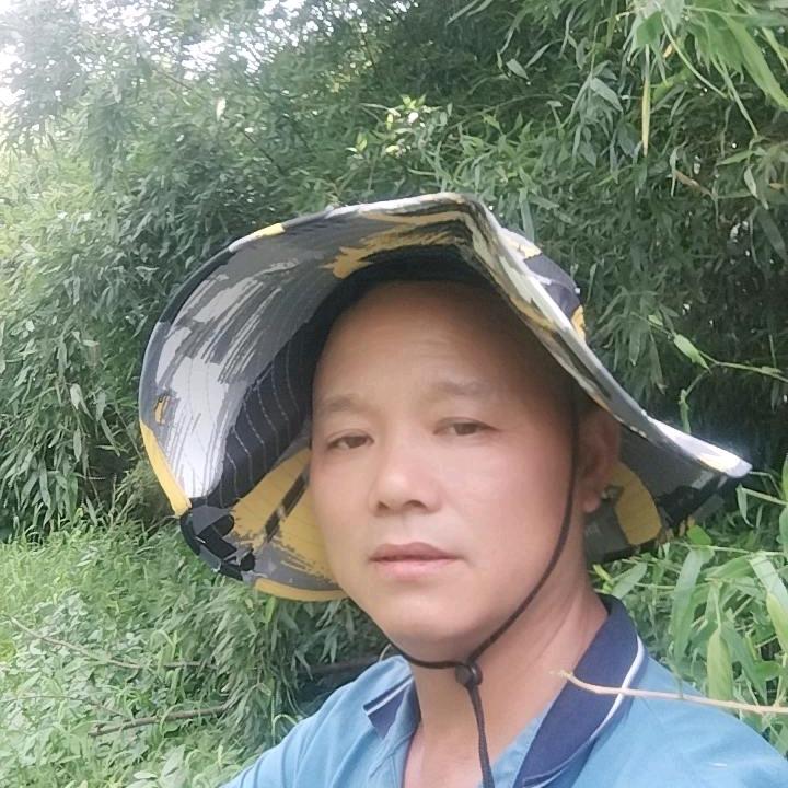 东宝哥