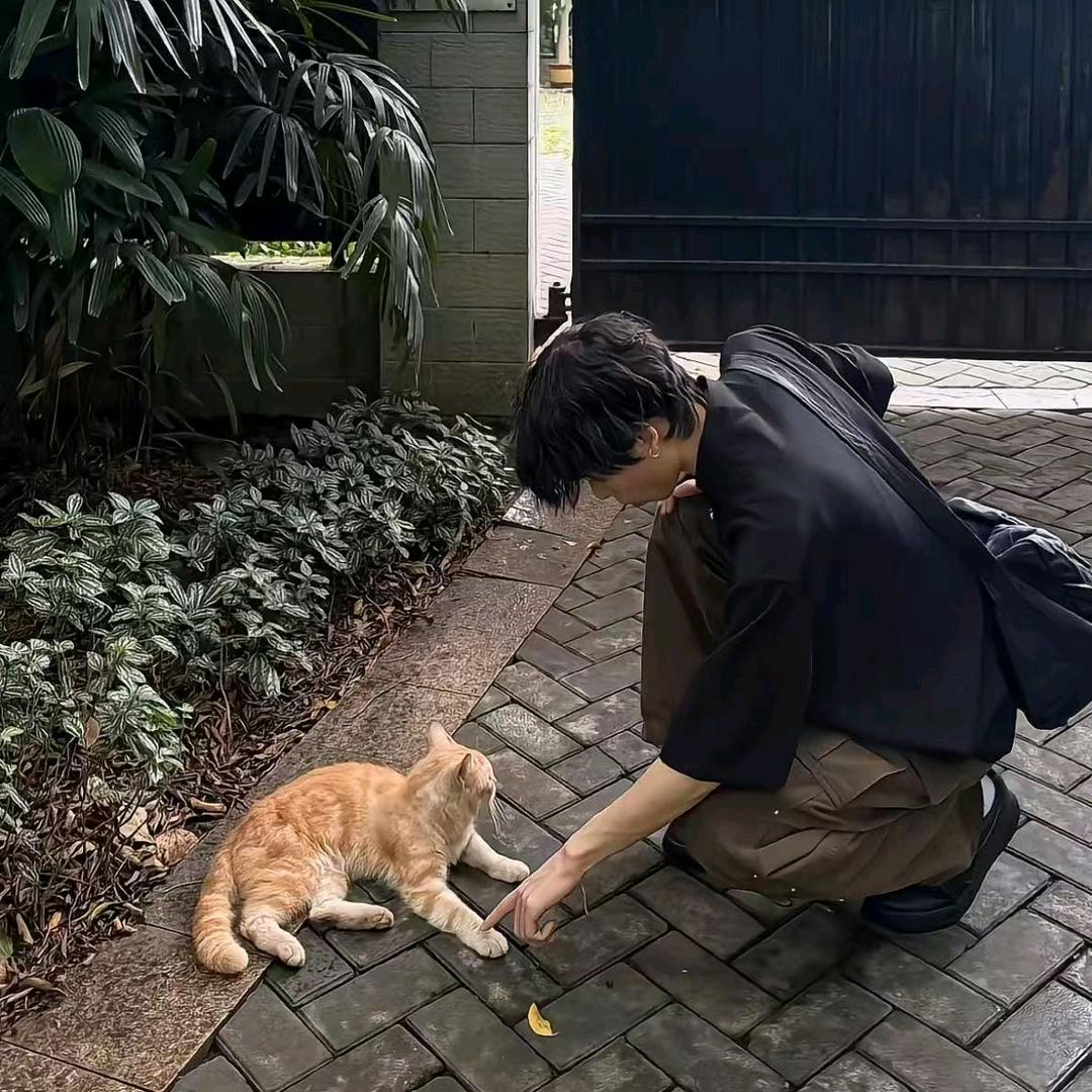 曦