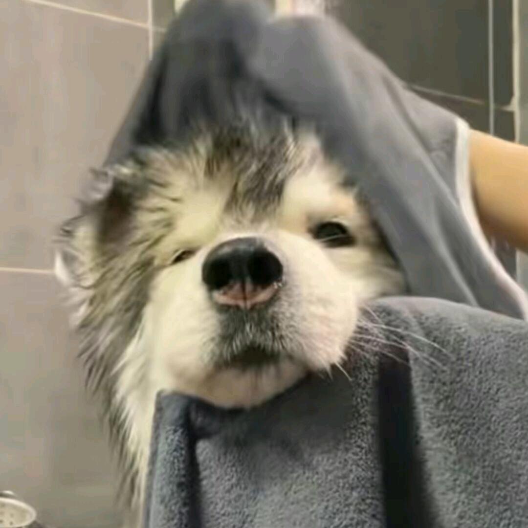 隔壁小张