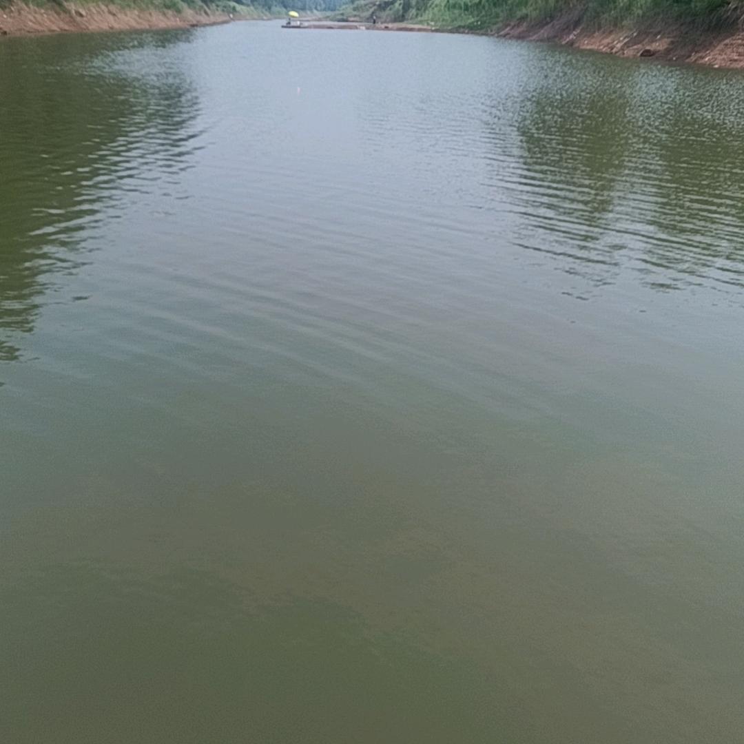 孤独无助心与心地交流