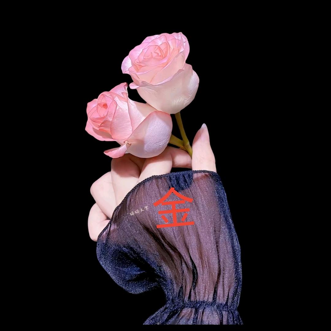 梦洁