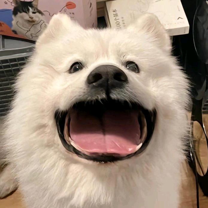 其实挺有趣