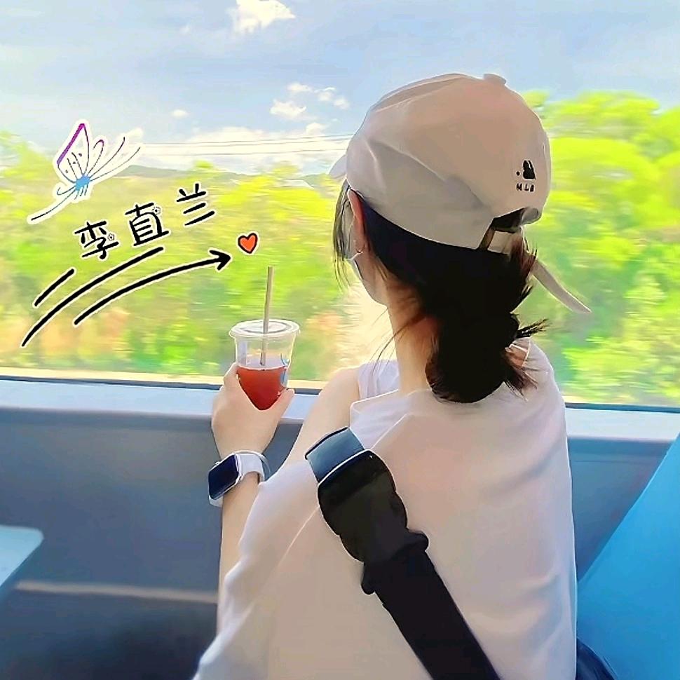 风冈新标门窗王力安全门李直兰