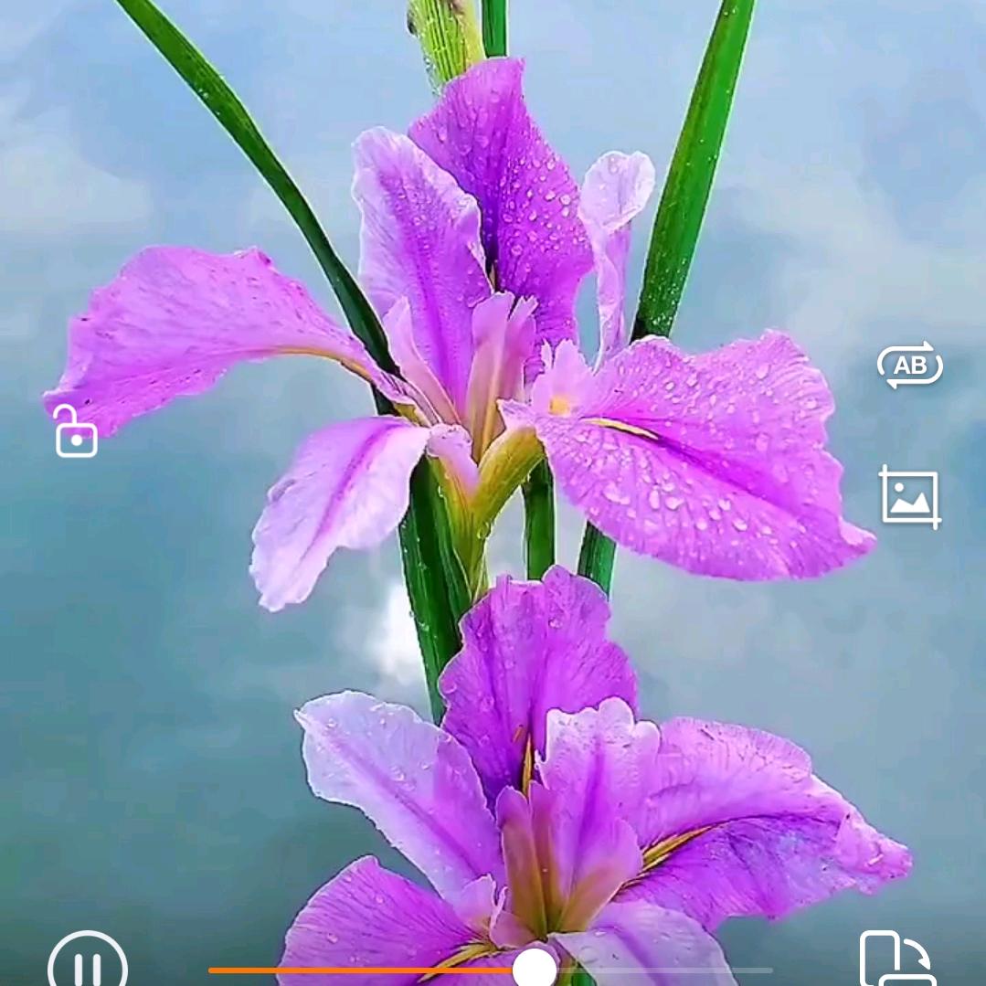 眀天会更好