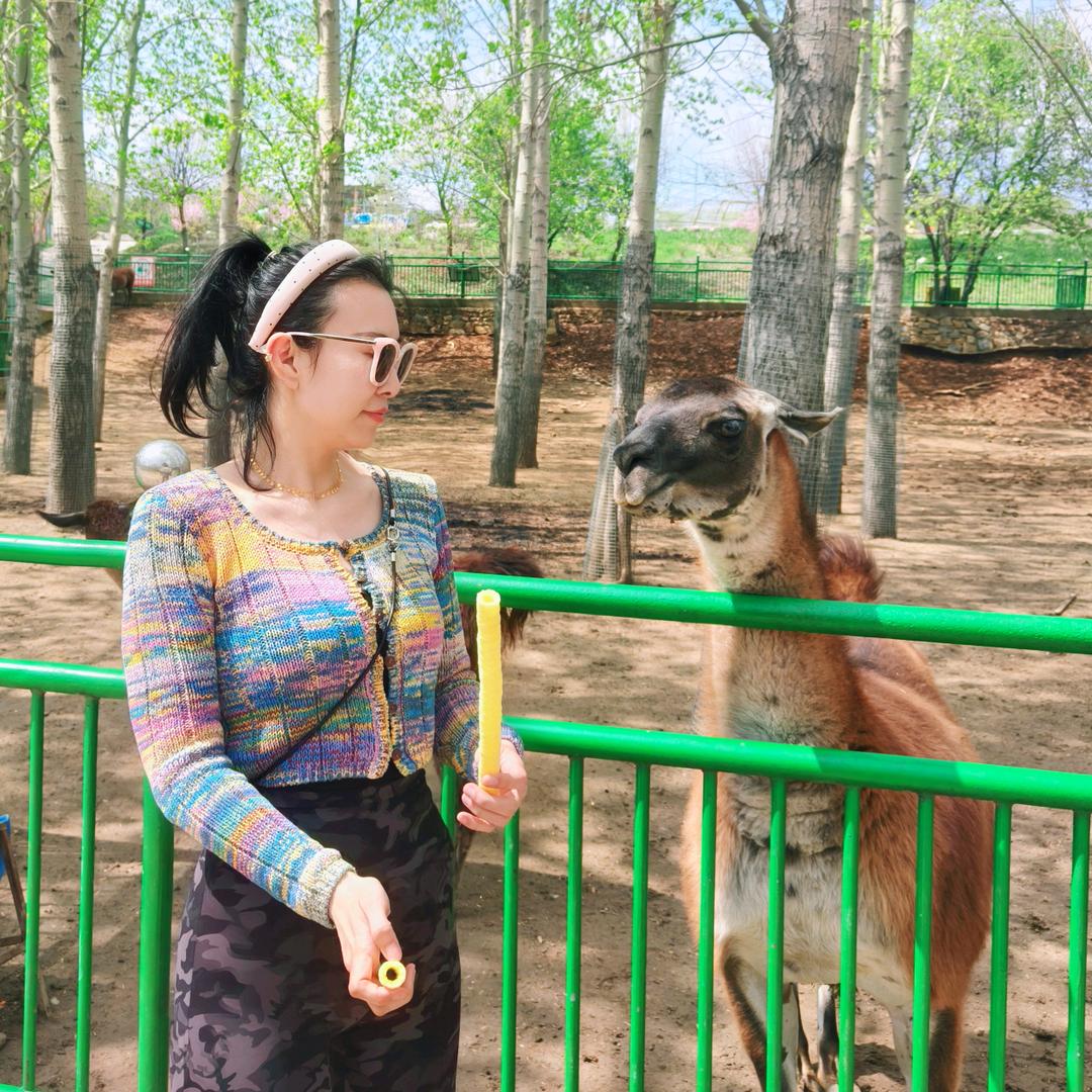 一顿都不能少吃❤️