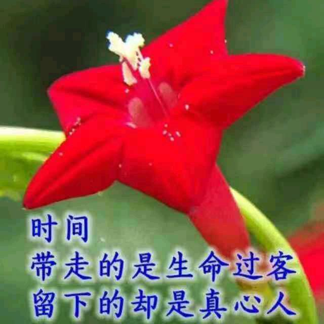 雨涵小姐