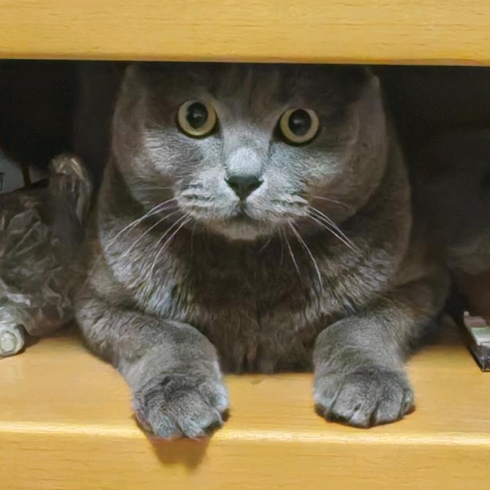 去年网恋被骗三万今年准备了六万