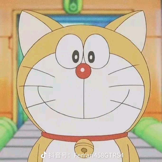动画放映