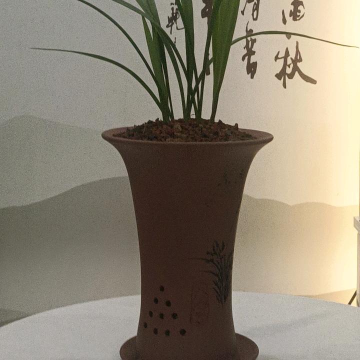 暖暖微笑