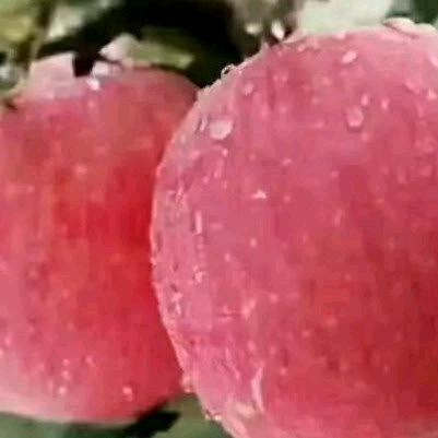 和睦相处