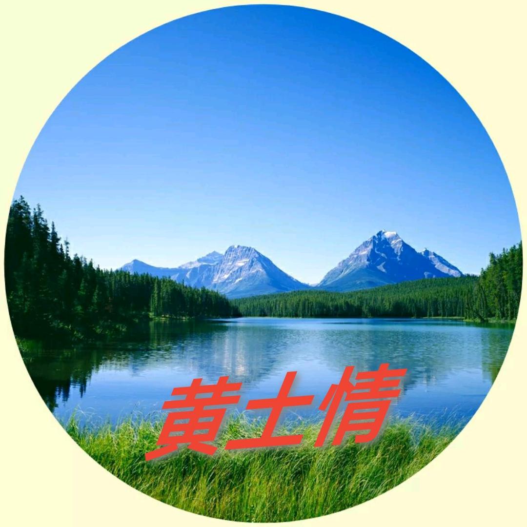 黄土情老薛