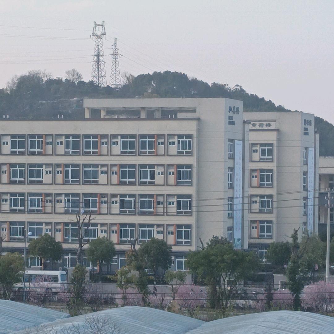 廖珠（小号）