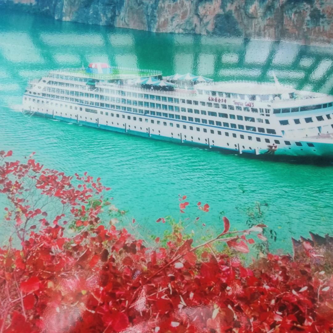 洪洪火火830