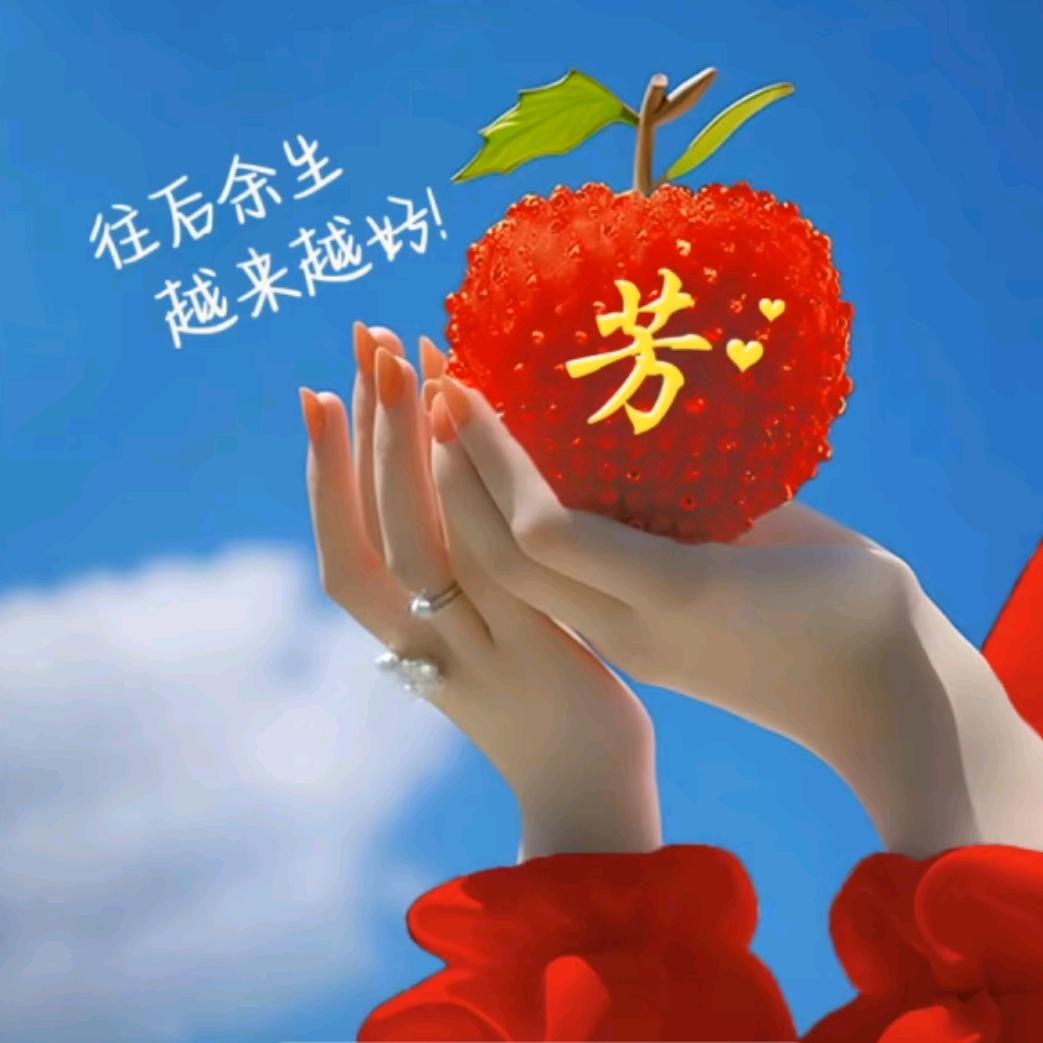 单只蝴蝶