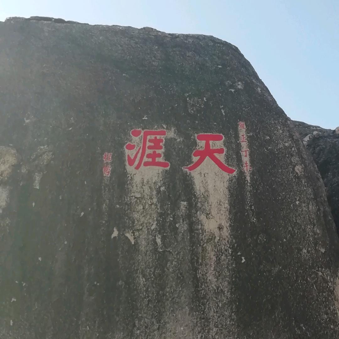 一飞冲天龙
