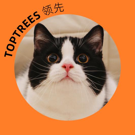 领先Toptrees专场X小畅喵